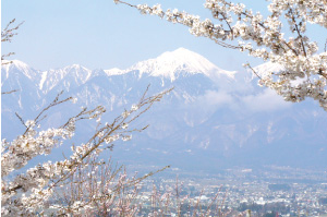 光城山