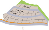 c区画