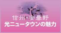 光ニュータウンの魅力