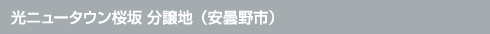 光ニュータウン