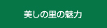 美しの里の魅力