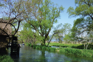 安曇野 御法田（大王わさび農場）