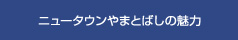 美しの里の魅力