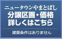 分譲区画・価格