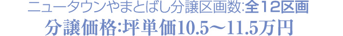 ニュータウンやまとばし分譲区画数：全12区画／分譲価格：坪単価10.5～11.5万円